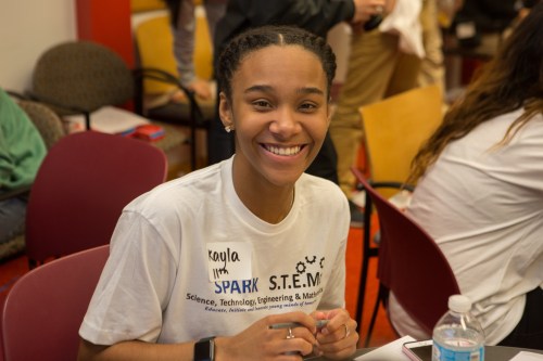 Ciena Stem Spark-115